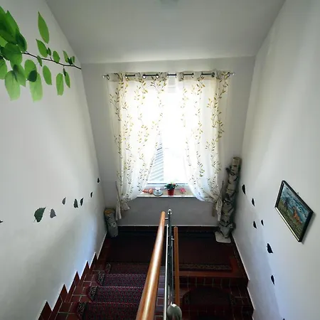 Brezov Gaj Bed & Breakfast