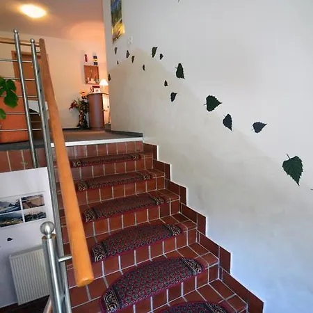 Bed and Breakfast Brezov Gaj