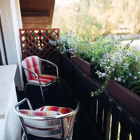 Bed & Breakfast Brezov Gaj