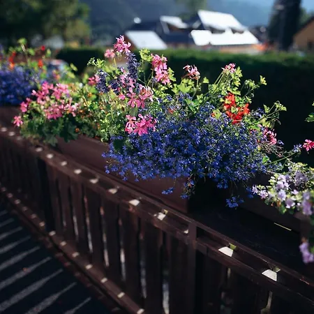 krevet i doručak Brezov Gaj 3*