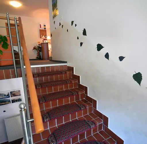 Bed & Breakfast Brezov Gaj