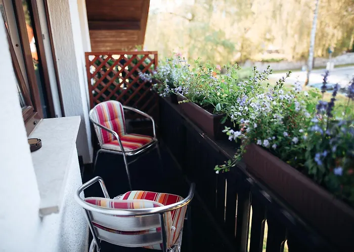 Bed & Breakfast Brezov Gaj