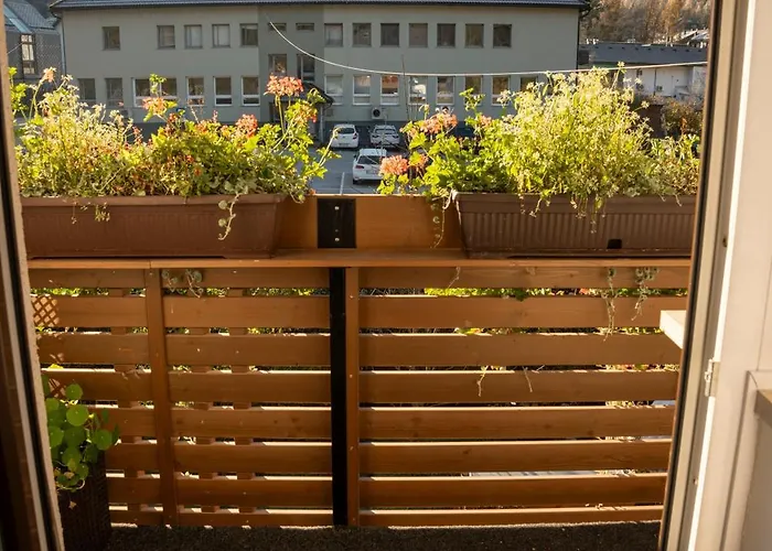 Bed & Breakfast Brezov Gaj