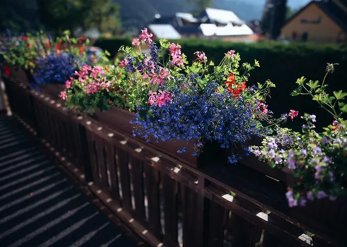 Bed & Breakfast Brezov Gaj 3*